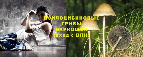 ECSTASY Нязепетровск